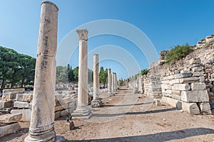 Road with ancient colums in Ephesus