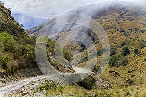 Road through Andes