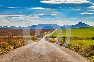 Road around fields through rural landscape in sunny summer day