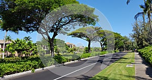 Road around Waikoloa resort