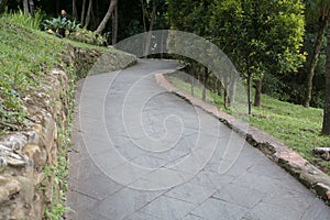 a road in asia tourist park with greenery and winding road