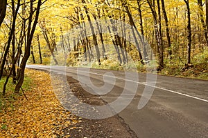 Carreteras en otono 