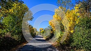 On the road in the Autumn