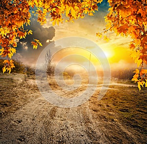 Road and autumn field