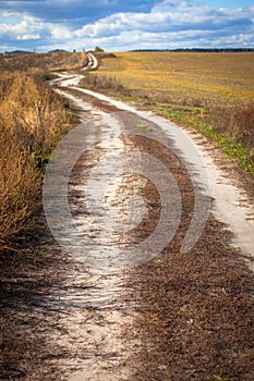 Road in autumn fields