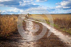 Road in autumn fields