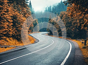 Road in autumn foggy forest in rainy day. Mountain roadway