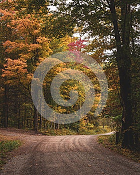 Road with autumn foliage, in the Catskill Mountains, New York