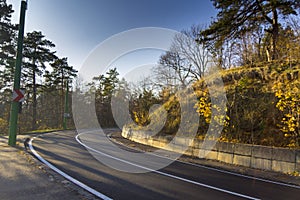 Carreteras a través de otono Bosque 