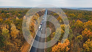 Road in the autumn forest. Aerial view. Road with cars from above.
