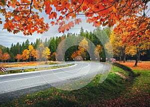 Road in autumn forest. Beautiful empty mountain roadway