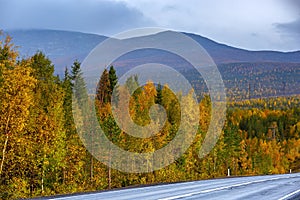 The road in the autumn forest in the highlands in the north of Russia. Kola Peninsula