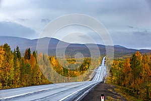The road in the autumn forest in the highlands in the north of Russia. Kola Peninsula