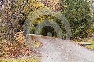 Road autumn forest landscape Park