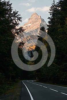 the road in the autumn forest leading to Mount Dombai