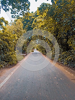 road in autumn forest monsoon season