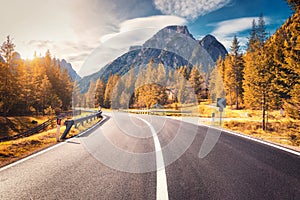 Road in autumn forest at sunset in Italy. Mountain roadway