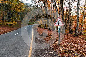Road in autumn forest