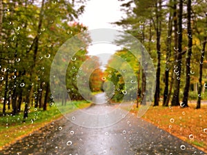 Road in the autumn on a rainy day