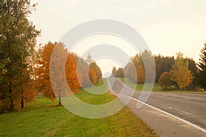 Road in autumn scenery