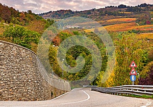 Road and autumnal trees in Piedmont, Italy.