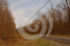 A rural country road through winter woods