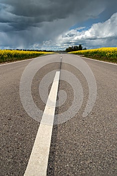 Road beatween fields