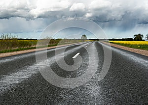 Road beatween fields