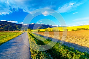 Road in a beautiful land with meadows and blooming field. And snow mountain in background. Slovakia, Central Europe