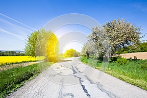 Road through the beautiful landscape