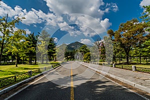 Road in beautiful public park