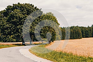 Road on Beautiful spring rural landscape