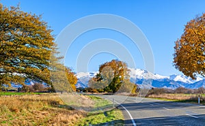 A road with a beautiful view near snow-capped mountains at sunny autumn morning, Canterbury, South Island, New Zealand