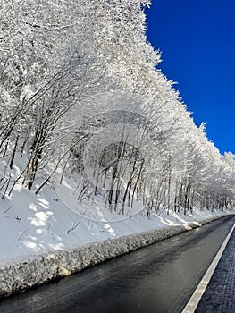 Road in a beautiful winter landscape with clear blue sky