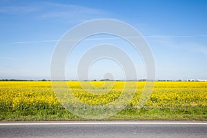 Cesta a krásne žlté pole