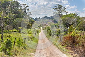 Road in Belize