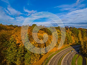 Road bend in the autumn falling golden trees background and blue sky