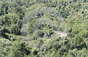 Road bend looms out of dale with thick vegetation in southern Appenines, Italy