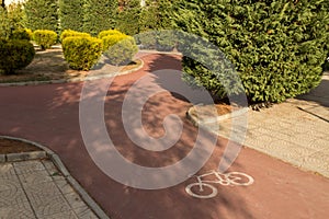 Road for bicycles, bike lane in the park, signposted