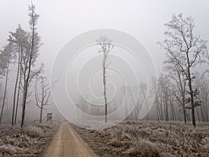 Elevated hunting blind at forest road in bleak and foggy landscape photo