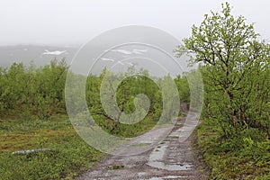 Road in bog at Nikkaluokta in Sweden on a rainy day
