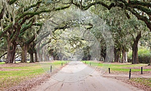 Road Boone Plantation Charleston South Carolina SC