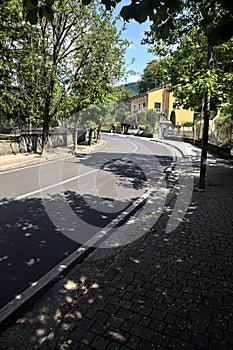 Road bordered by trees in a residential area