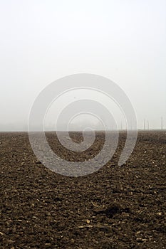 Road bordered by wooden poles and over head cables between cultivated fields on a foggy day in the italian countryside in winter