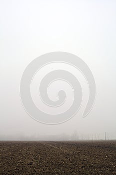 Road bordered by wooden poles and over head cables between cultivated fields on a foggy day in the italian countryside in winter