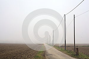 Road bordered by wooden poles and over head cables between cultivated fields on a foggy day in the italian countryside in winter