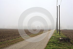 Road bordered by wooden poles and over head cables between cultivated fields on a foggy day in the italian countryside in winter