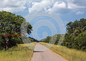 Road between Botsuana and Zimbabwe photo