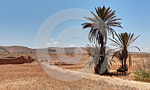 On the road of Boulfdail - Morocco