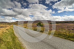 Road through the Braes of Abernethy in Scotland.